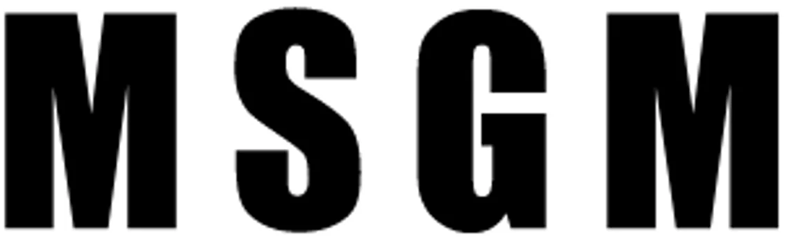 MSGM - Cliente AMS Web
